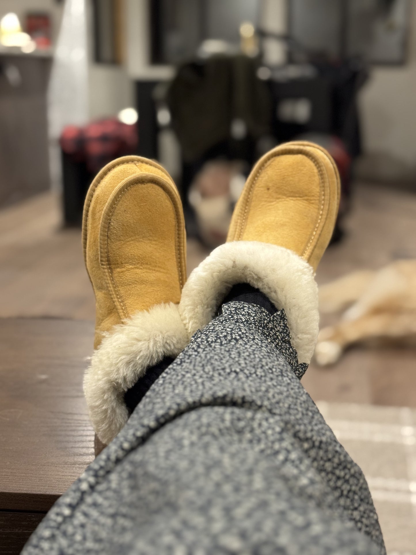 Sheepskin Slippers